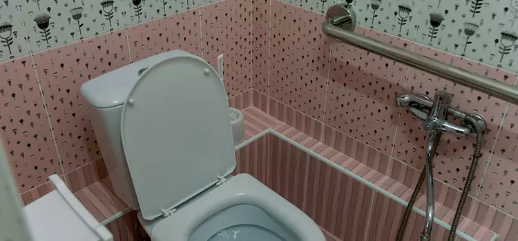 Meeting Diverse Needs With Accessible Restroom Solutions in Gretna, LA